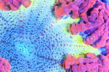 IMG_3224February 04, 2022.jpg