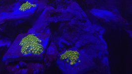 20220207_104707.jpg