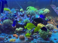 6D3DF08B-73F1-4304-B23E-DE78F05E60A5.jpeg