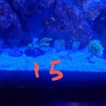 272911711_1335319733547355_5352421995156174650_n.jpg