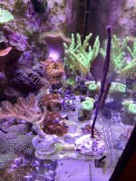 IMG_6234.jpeg