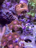 IMG_6236.jpeg