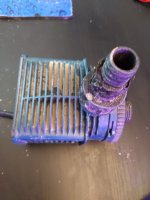 PXL_20220225_202932484.MP.jpg