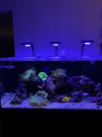 9020C006-E001-49C3-8C5C-128C530E04D3.jpeg