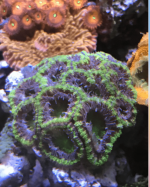 Screen Shot 2022-03-06 at 6.30.08 PM.png