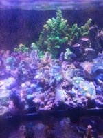 20220309_145541.jpg