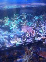20220309_145534.jpg