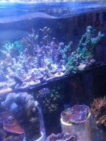 20220309_145530.jpg
