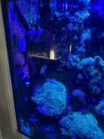 80935234-BCDC-4082-9624-010DC1710C76.jpeg
