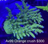 8B128C70-3AF2-4DD5-BD64-7E7F25936508.jpeg