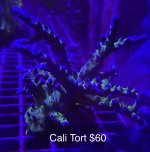 BC065A3D-812E-491D-AC58-E2208B2B6D41.jpeg