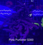 8D87E47D-D075-4F18-AD62-929C0FA2D3B2.jpeg