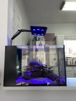 IMG_0300.JPEG
