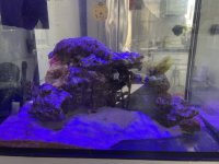 IMG_0301.JPEG