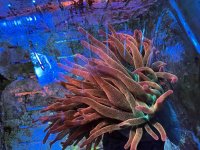 2497D787-8910-40A7-8213-D61D1861BA97.jpeg