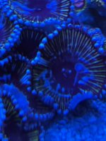 4F079008-BF73-44B3-A2C9-889A379C8BC1.jpeg