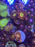 3E890A47-4B0A-4A08-BE61-F2D4A07E1F3F.jpeg