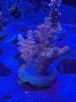 44ED2E17-710D-4F2D-91E9-81998F7B0AD5.jpeg