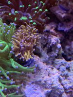 2D791A39-8524-4681-8CE9-BA162B59AB0B.jpeg
