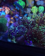 20220324_184755.jpg