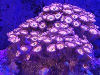 20220331_121358.jpg