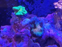 20220331_121306.jpg