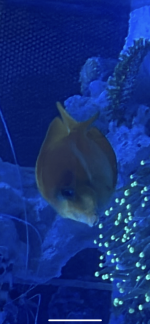 BE957C61-E487-41F0-AD5E-DECAC2C71C76.png