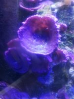 20220329_150633.jpg
