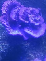 20220329_150619.jpg