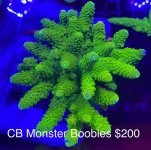 63B4C042-6148-4A98-9D54-576126FF0CA2.jpeg