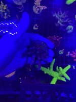 59EAB87C-D58D-4B4A-B055-397C75E2802E.jpeg