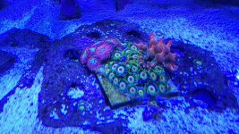 20220410_115112.jpg