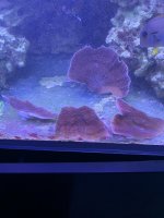 0A72B1C7-76B9-4129-B325-4E085DAE1372.jpeg