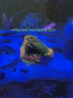 DBC6B66C-FD5C-42E9-AC4F-82FCDDE9E9D3.jpeg