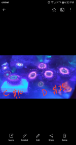 Capture+_2022-04-18-18-31-14.png
