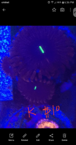 Capture+_2022-04-18-18-36-18.png