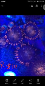 Capture+_2022-04-18-18-39-21.png