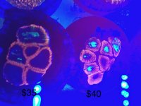 BBCA95FF-FBCD-4576-9D7E-A1E2507A3BA0.jpeg