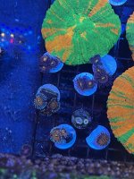 B3F1A829-F79B-41E2-93BA-6E56A3BDE070.jpeg