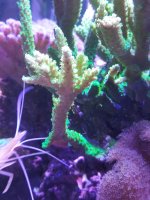 20220416_132529.jpg