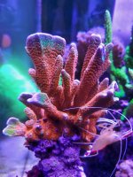 20220416_132444.jpg