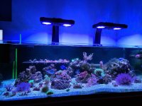 20201228_152928.jpg