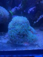 IMG_4349.JPG