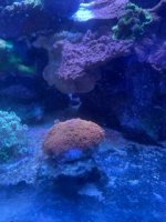IMG_4351.JPG