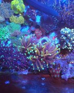 20220426_160301.jpg