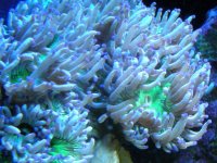 RSCN1085.jpg