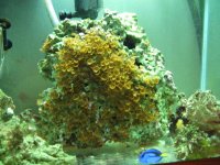 IMG_1973.JPG