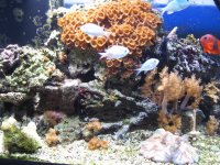 IMG_1708.jpg