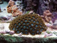 P9190213 [800x600].JPG