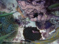 P9190229 [800x600].JPG